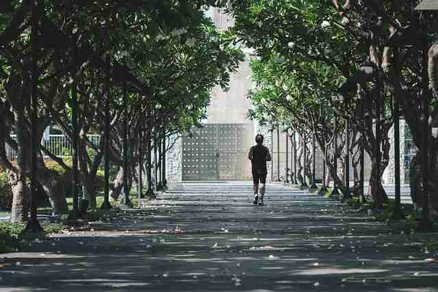 一文读懂P站中文版粉丝经济：破防指南《真相》