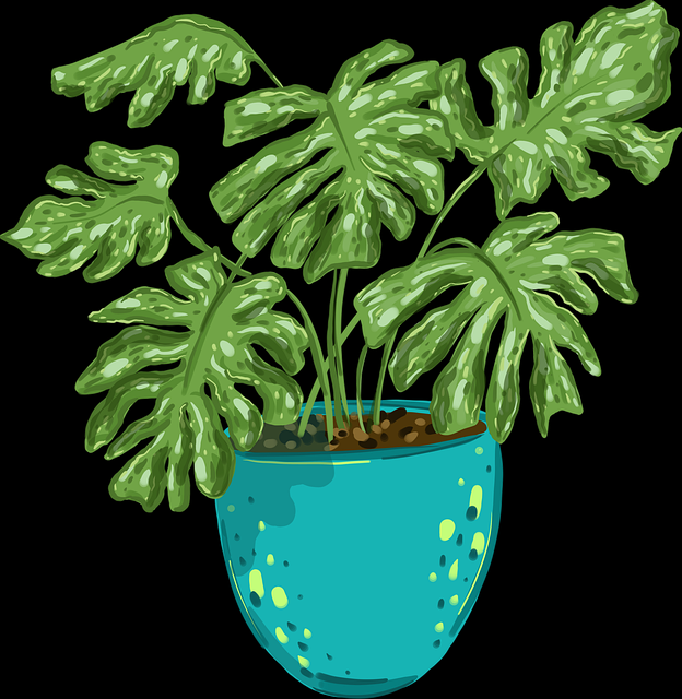 一文读懂P站中文版口碑秘籍：破防指南——必读